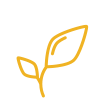 gmo gmo